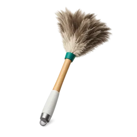 A feather duster