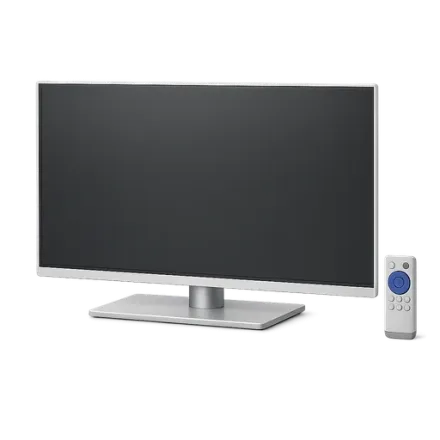 A television and its remote